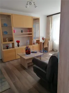 Apartament 2 Camere Alexandru cel Bun - Parcul Voievozilor - Iasi
