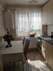 Apartament 2 Camere Alexandru cel Bun - Parcul Voievozilor - foto 8
