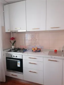 Apartament 2 Camere Nicolina - Prima Statie - foto 12