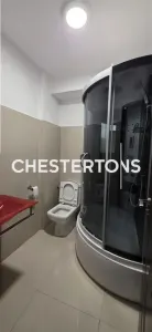 Vila individuala 490 mp de inchiriat | Piata Victoriei - foto 10