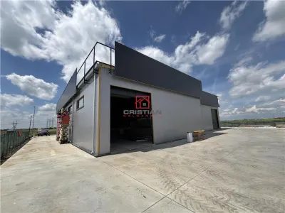 Inchiriere depozit/hala/spatiu industrial Domnesti - Centura, Ilfov - foto 23