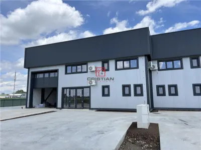 Inchiriere depozit/hala/spatiu industrial Domnesti - Centura, Ilfov - foto 6