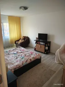 Apartament 1 cameră decomandat | Nicolina – Kaufland | Etaj 1/4 | Centrală proprie - foto 3