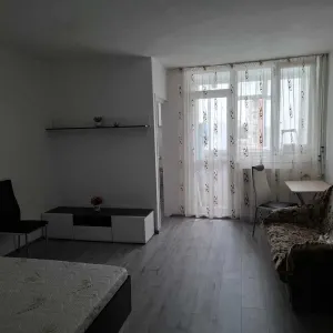 Garsonieră Mobilată și Utilată – Tătărași Flora, Etaj 8/9 - foto 2