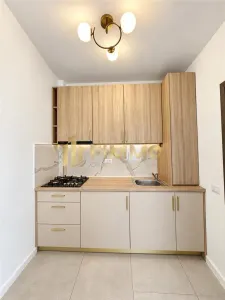 Microapartament de inchiriat | Ipotesti | ID:1376 - foto 7
