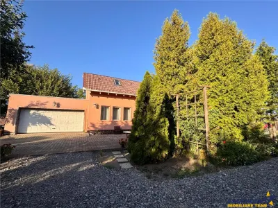 Casa solida,farmec autentic,echipata, garaj incalzit,pod,curte relaxanta,Santana de Mures - foto 25
