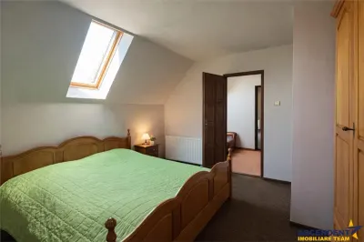 Casa solida,farmec autentic,echipata, garaj incalzit,pod,curte relaxanta,Santana de Mures - foto 11