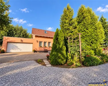 Casa solida,farmec autentic,echipata, garaj incalzit,pod,curte relaxanta,Santana de Mures - foto 14