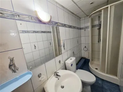 Apartament 3 camere, Dorobantilor - Profi - foto 9