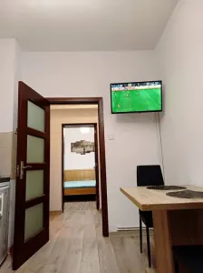 Studio decomandat , Centrul Istoric -Pet friendly - foto 5