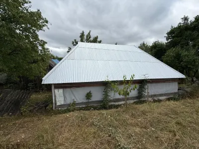 Teren 2,9 hectare cu casa, livezi si anexe de vanzare in Paltin, Vrancea - foto 4