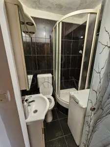 BUZIASULUI - APARTAMENT 1 CAMERA - mobilat, utilat, decomandat - foto 6