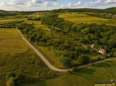 Teren extravilan 4.500 mp, livada, acces facil, parcelabil, potential investitional, Sancraiu - foto 3