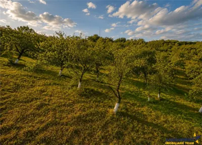 Teren extravilan 4.500 mp, livada, acces facil, parcelabil, potential investitional, Sancraiu - foto 5