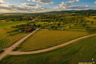 3.800mp recomandat: investitie,rezidenta vacanta,domeniu privat,Valea Crisului - foto 3