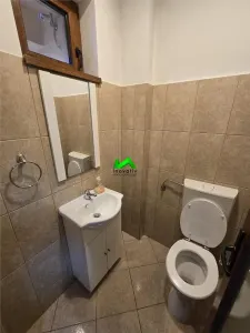 Spatiu de birouri de inchiriat Sibiu Luptei - foto 15