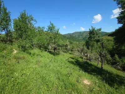 1,3 ha Teren si cladiri in Blajeni - foto 14