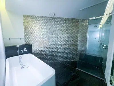 Apartament cu 4 camere de inchiriat Cortina Residence Herastrau - foto 24