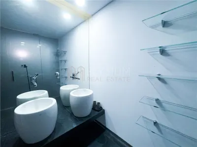 Apartament cu 4 camere de inchiriat Cortina Residence Herastrau - foto 29
