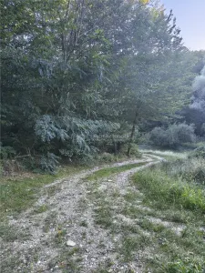 Teren intravilan de vanzare in padure Cisnadioara - foto 3