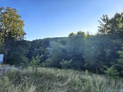 Teren intravilan de vanzare in padure Cisnadioara - foto 4