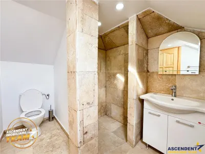 Proprietate premium cu SPA,sauna,casa oaspeti,teren 1.348 mp,acces padure, Sfantu Gheorghe,Simeria (Evergreen) - foto 36
