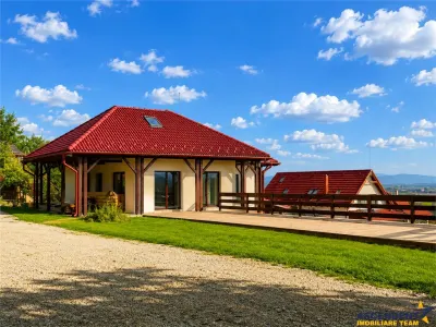 Proprietate premium cu SPA,sauna,casa oaspeti,teren 1.348 mp,acces padure, Sfantu Gheorghe,Simeria (Evergreen) - foto 43
