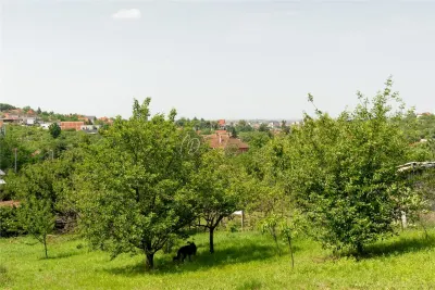 MDI casa cu teren generos Oradea - foto 11