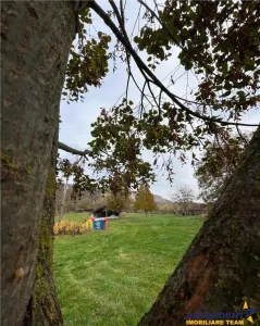 Transilvania Camping, domeniu de 14.400mp,Sanmarghita de Mures:2cladiri, apartamente,potential exceptional - foto 26