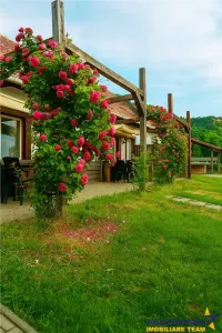 Transilvania Camping, domeniu de 14.400mp,Sanmarghita de Mures:2cladiri, apartamente,potential exceptional - foto 28