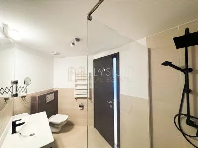 Apartament tip Penthouse de inchiriat 4 camere Soseaua Nordului - foto 25