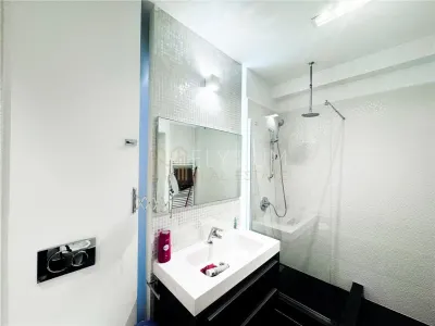 Apartament de inchiriat 5 camere Soseaua Nordului Herastrau - foto 31