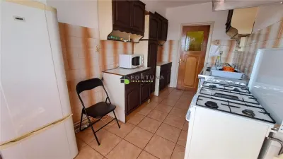 Penthouse 4 camere, mobilat si utilat modest, strada Toamnei - foto 13