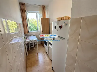 Inchiriere apartament 2 camere, Malu Rosu, Ploiesti - foto 11