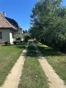 Vila Snagov cu piscină - foto 8