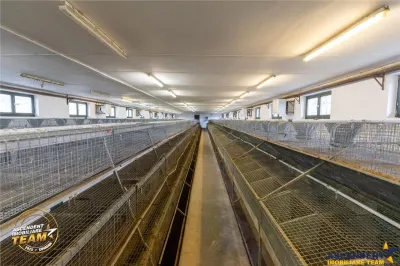 FILM! Ferma de iepuri,Malnas,Covasna: domeniu:comercial/industrial,asset UE - foto 16