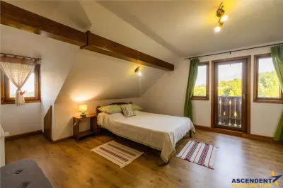 Residential/ investitional/ Pensiune/ Centru seniorial, 531 mp, 1.800mp teren - foto 9