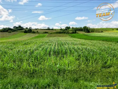 Oportunitate de investitie, PUZ aprobat: zona servicii, Sancraiu, Covasna - foto 10