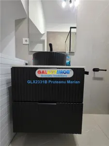 Vanzare vila de tip Duplex Premium situata aproape de Strada Dantelei - foto 13