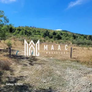 TEREN 5000 MP I SĂLIȘTE I PARCELABIL - foto 10