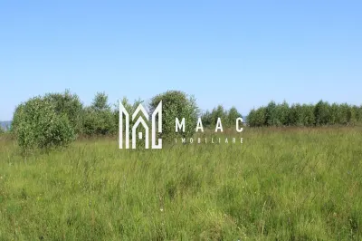 Teren extravilan de vânzare | Arpașu de Sus | 3100 mp - Arpasu de Sus