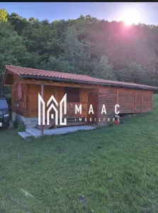 Teren extravilan 17.500 mp | Apoldu de Sus | cabană 46 mp - foto 3