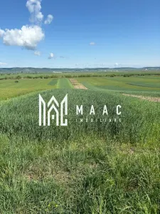 Teren extravilan 2393 mp | Gura Râului | acces, Carte Funciară - Gura Raului