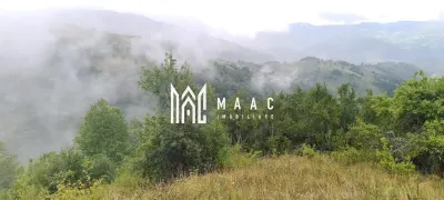 5000 teren in Muntii Apuseni I Pregatit pentru constructie - foto 3