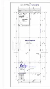 Spatiu Comercial | 170 MPU | Corneliu Coposu - foto 2