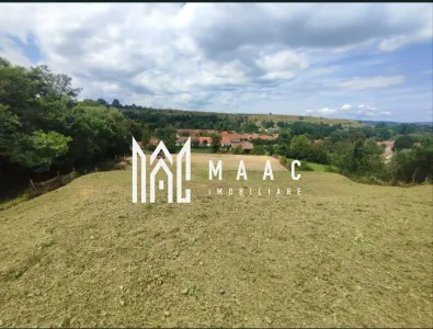 Teren intravilan | 3860 mp în Sărata | Ideal Pensiune sau Resort - foto 2