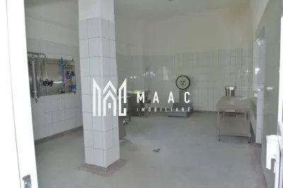 Fabrica de lactate utilata Sibiu - foto 9