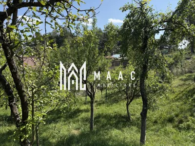 Casă  I Teren 1550 mp I Sat Vale I Mărginimea Sibiului - foto 3