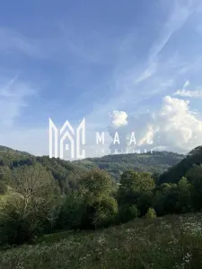 Teren  Intravilan I case vechi I – Poiana Sohodol I Alba - foto 8