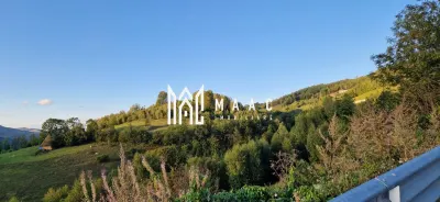 Teren pe Transapuseana I Investiție I Pasajul Belvedere - foto 25